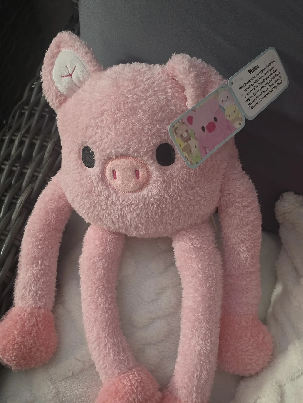 Fiesta Plush Pink Pig and Bird Small Pet Toys